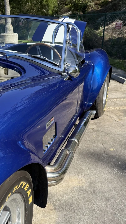 Shelby - Image 18 of 31