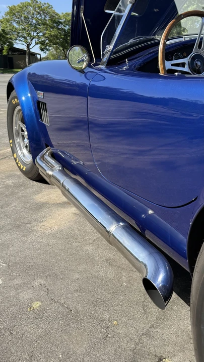Shelby - Image 19 of 31