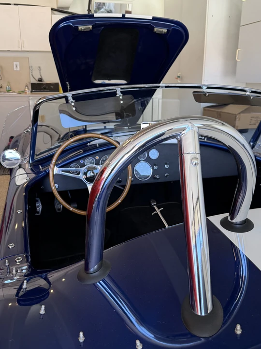 Shelby - Image 31 of 31