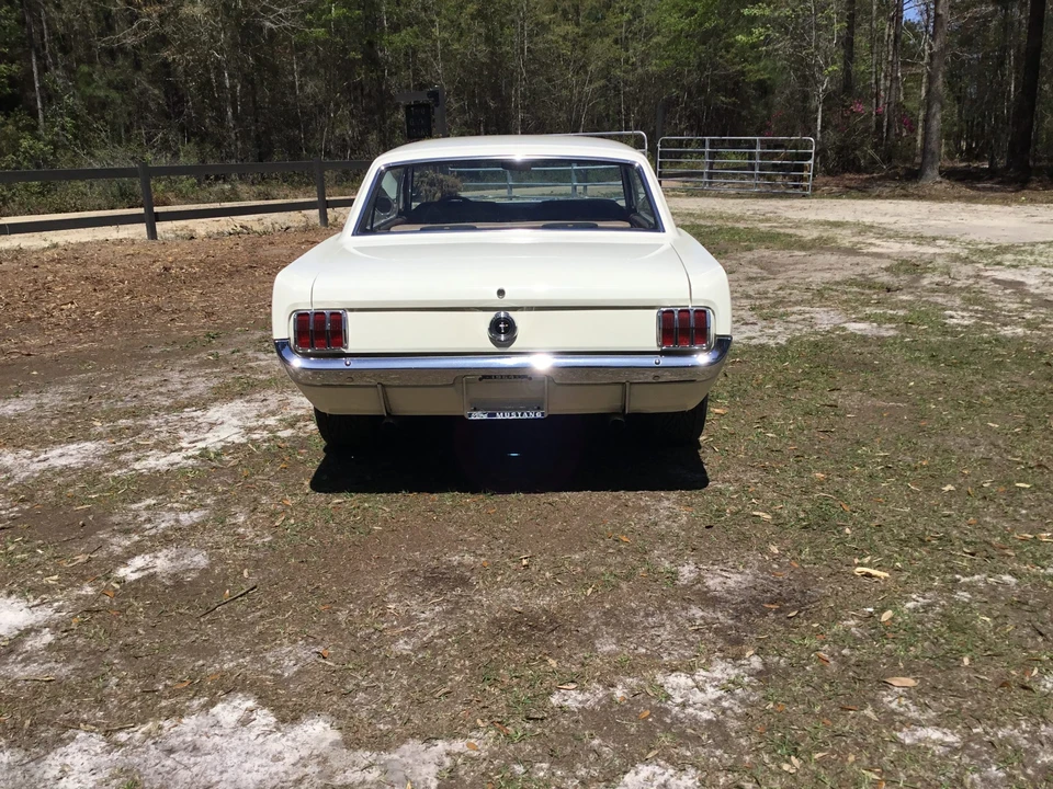 1964 Ford Mustang 1st Gen (1964.5-1966) - Image 10 of 31
