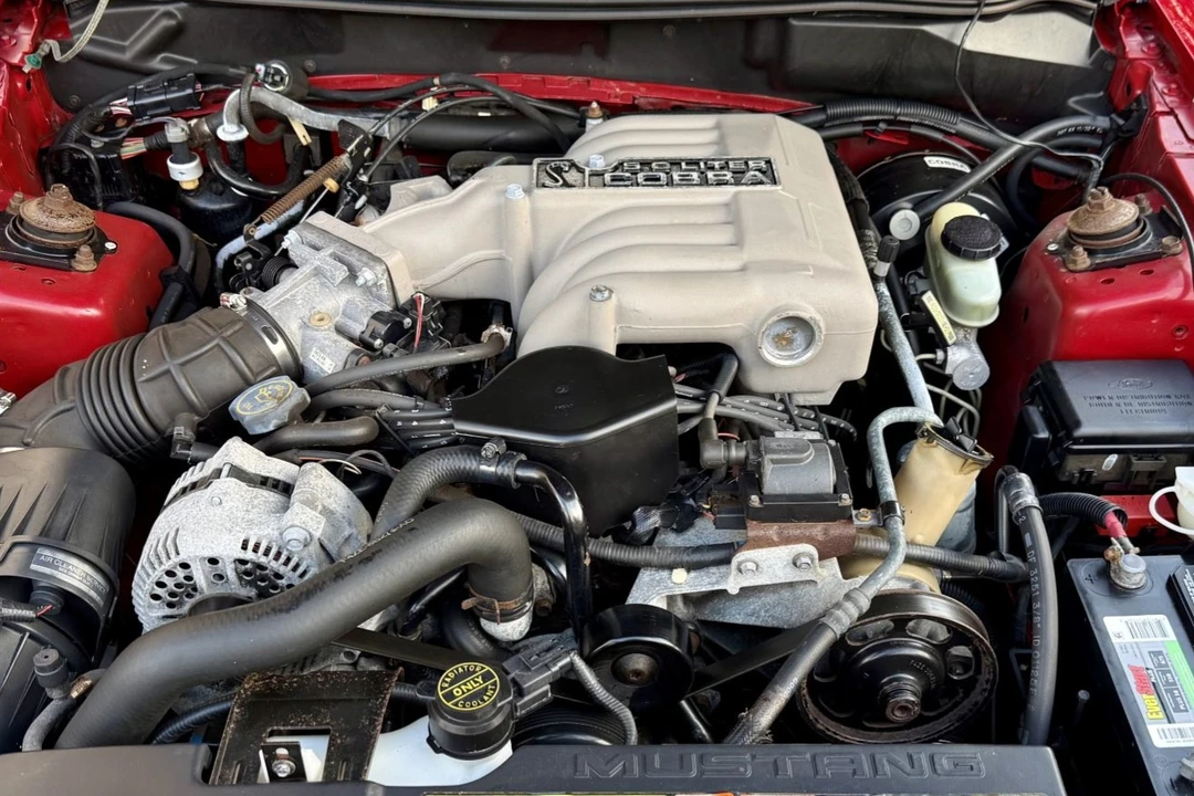 1995 Ford SN95 Mustang Cobra - Image 6 of 8