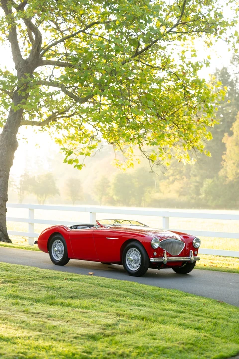 1955 Austin-Healey 100 - Image 11 of 31
