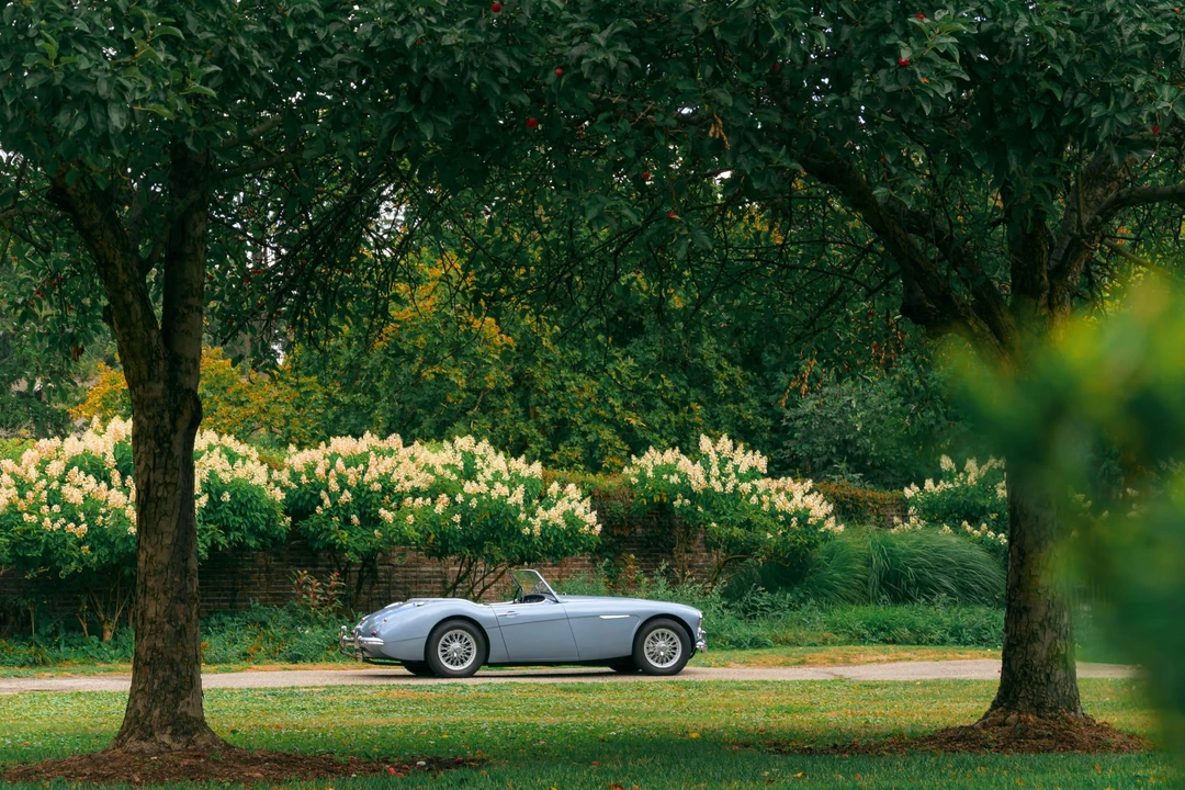 1959 Austin-Healey 3000 Mark I - Image 15 of 31