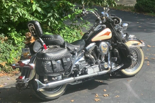 1990 Harley-Davidson Softail - Image 2 of 6