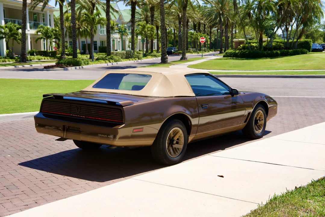 1984 Pontiac Firebird Trans Am 3rd Gen - Image 19 of 31