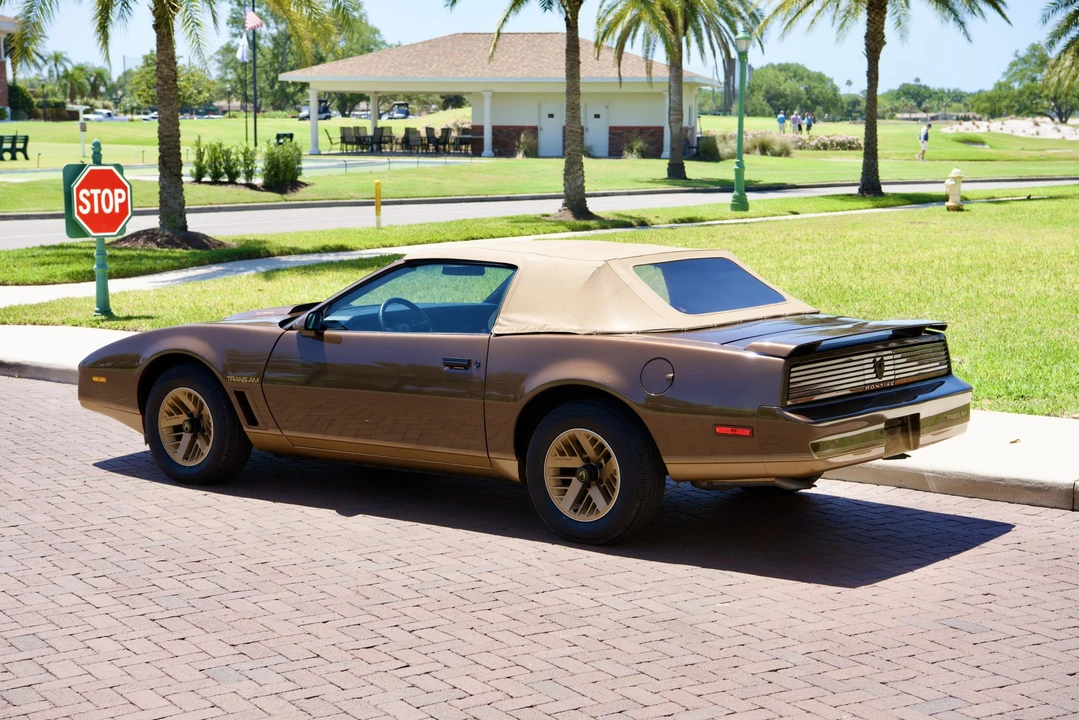 1984 Pontiac Firebird Trans Am 3rd Gen - Image 15 of 31