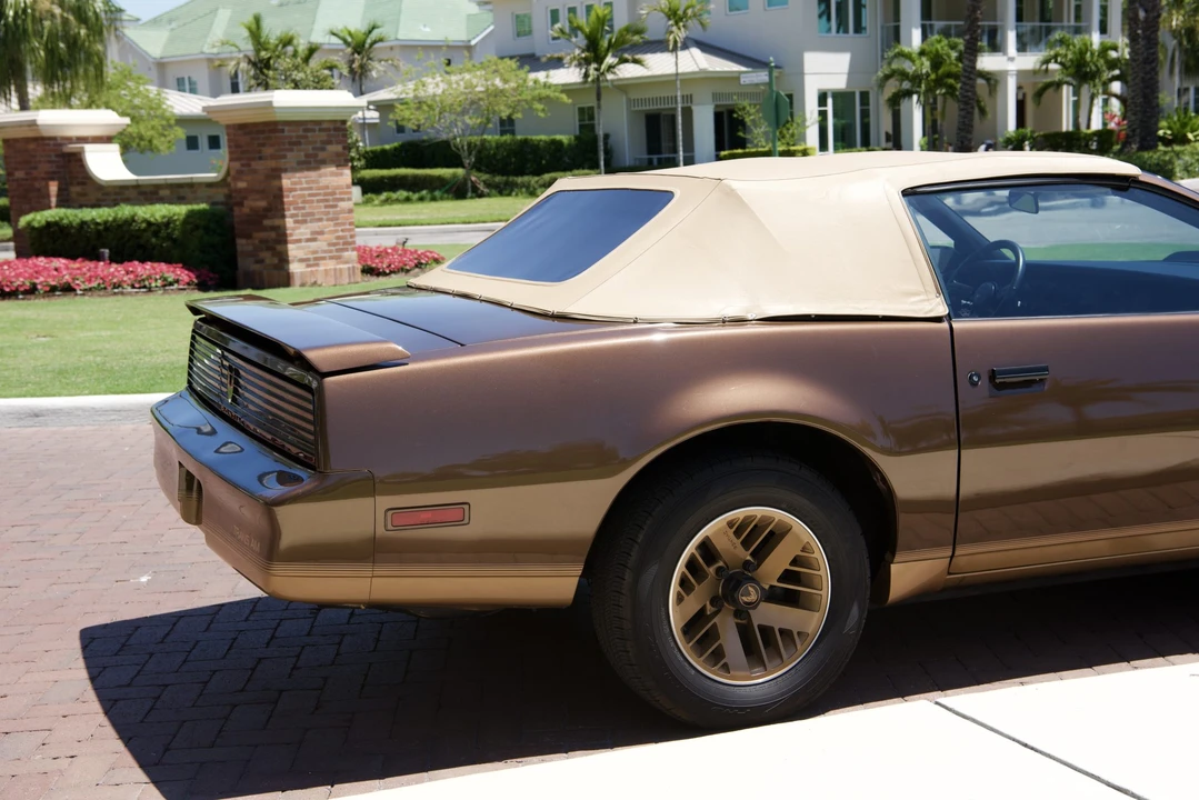 1984 Pontiac Firebird Trans Am 3rd Gen - Image 31 of 31