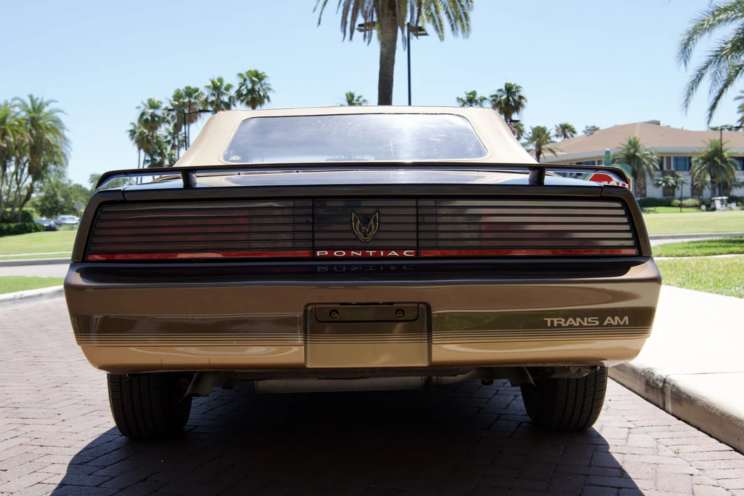 1984 Pontiac Firebird Trans Am 3rd Gen - Image 17 of 31