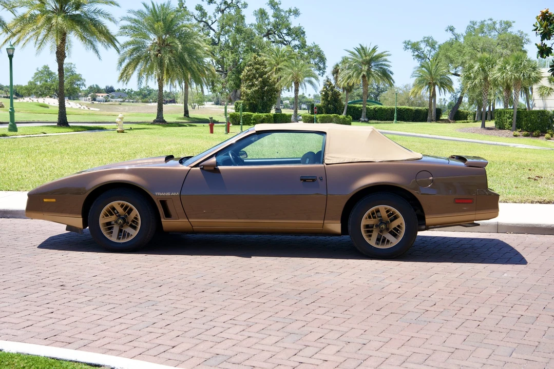 1984 Pontiac Firebird Trans Am 3rd Gen - Image 13 of 31