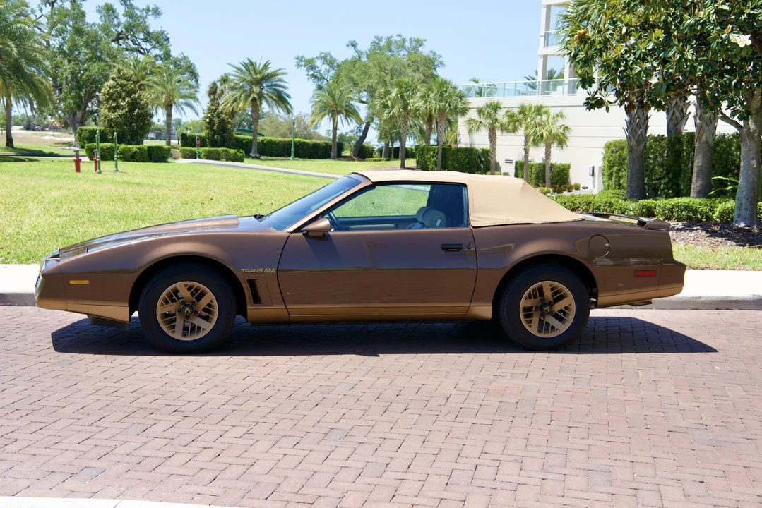 1984 Pontiac Firebird Trans Am 3rd Gen - Image 14 of 31