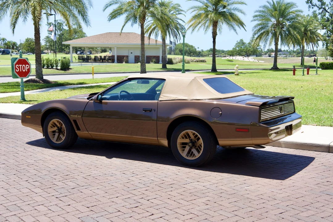 1984 Pontiac Firebird Trans Am 3rd Gen - Image 16 of 31
