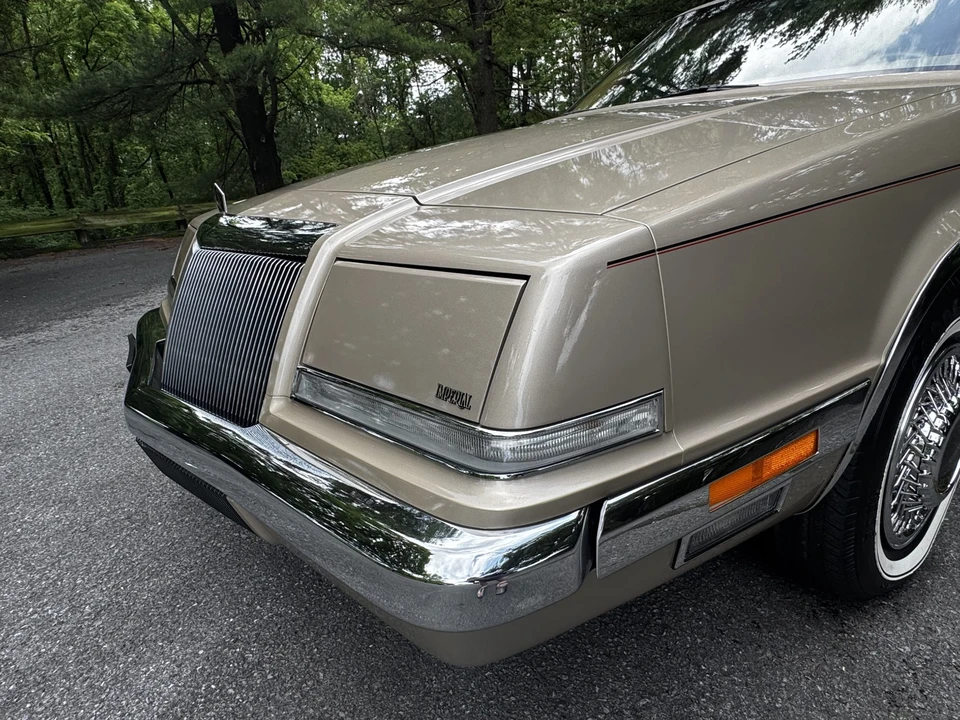 1993 Chrysler Imperial - Image 14 of 31