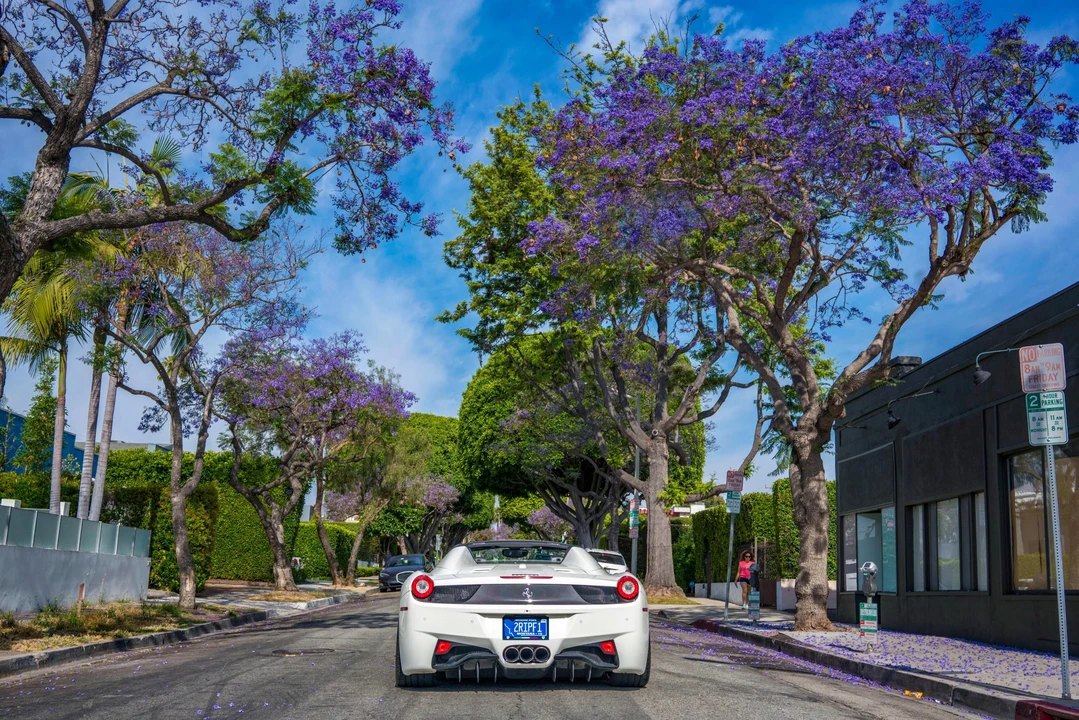 2013 Ferrari 458 Spider - Image 15 of 31