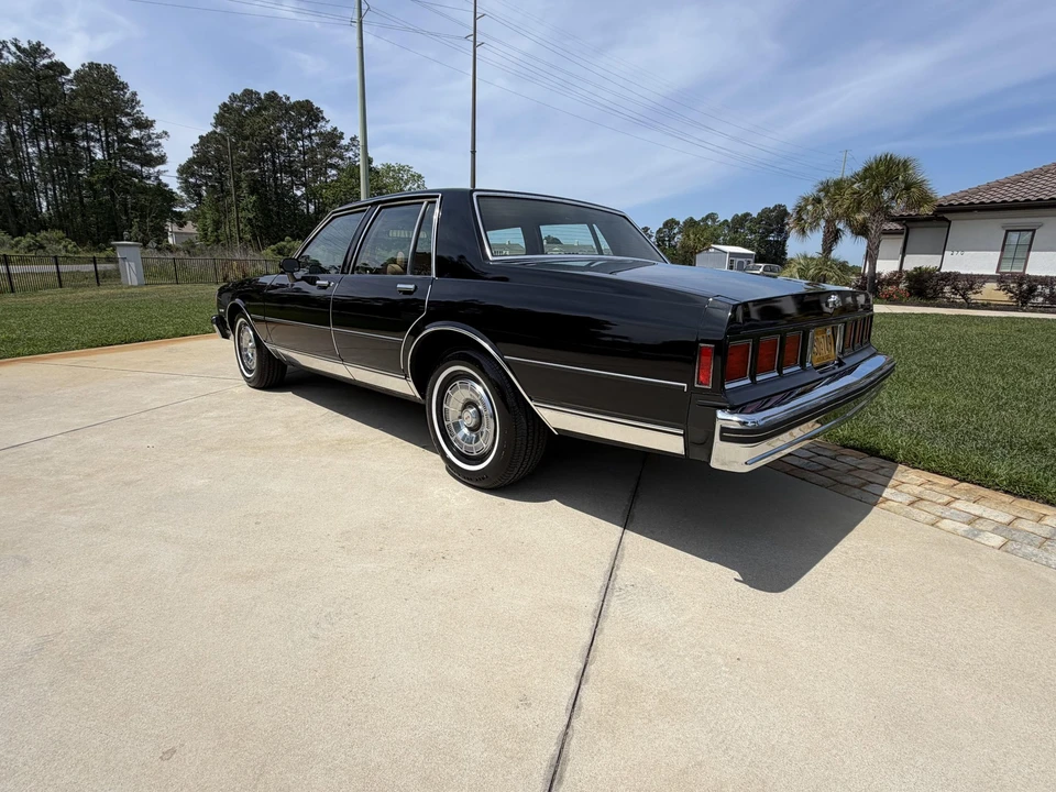 1981 Chevrolet Caprice - Image 8 of 31
