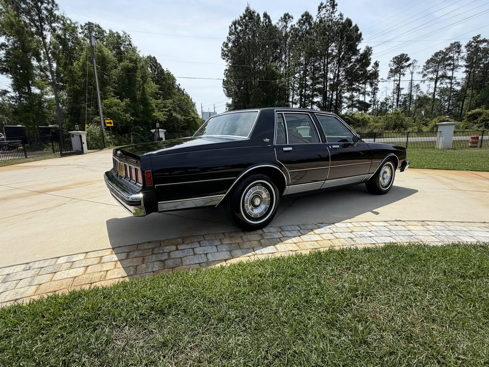 1981 Chevrolet Caprice - Image 9 of 31
