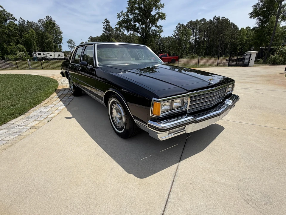 1981 Chevrolet Caprice - Image 11 of 31