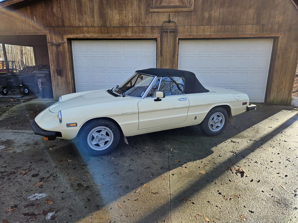 1982 Alfa Romeo Series 2 - Image 6 of 31
