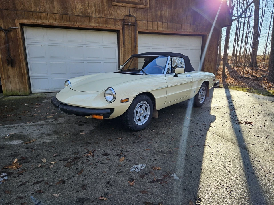 1982 Alfa Romeo Series 2 - Image 4 of 31