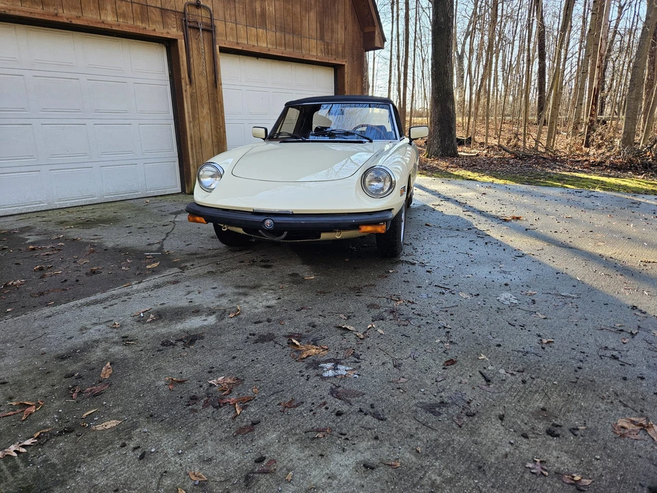 1982 Alfa Romeo Series 2 - Image 3 of 31