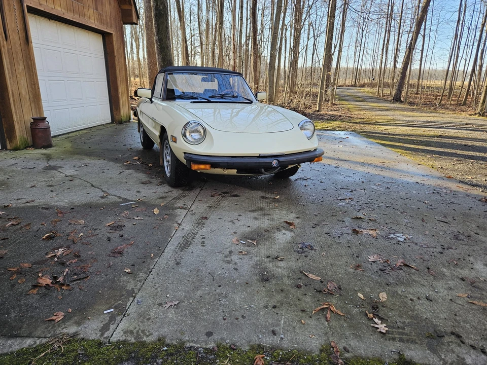 1982 Alfa Romeo Series 2 - Image 2 of 31