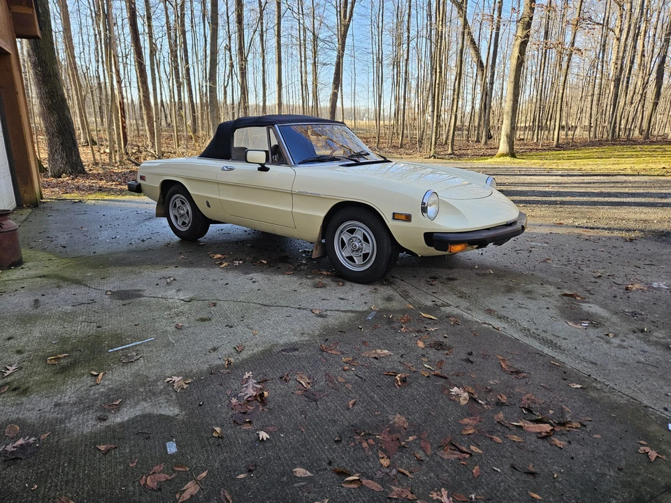 1982 Alfa Romeo Series 2 - Image 14 of 31