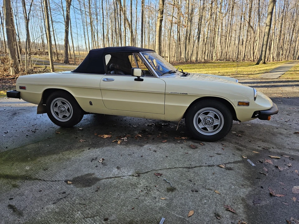 1982 Alfa Romeo Series 2 - Image 13 of 31