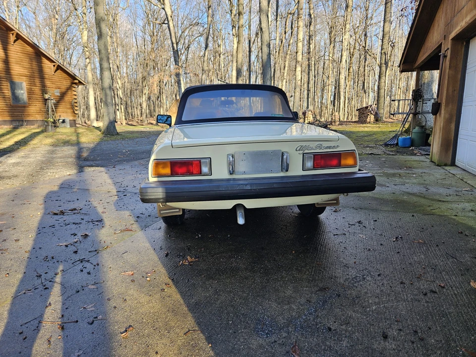 1982 Alfa Romeo Series 2 - Image 10 of 31