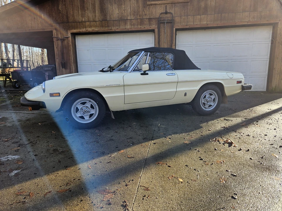 1982 Alfa Romeo Series 2 - Image 5 of 31