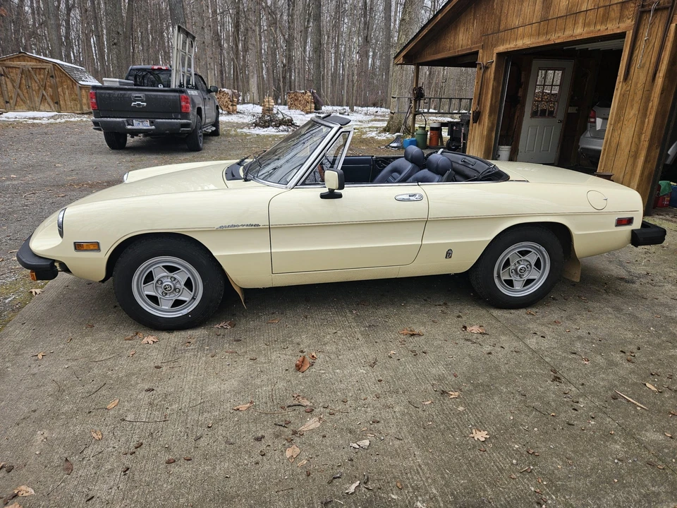 1982 Alfa Romeo Series 2 - Image 19 of 31