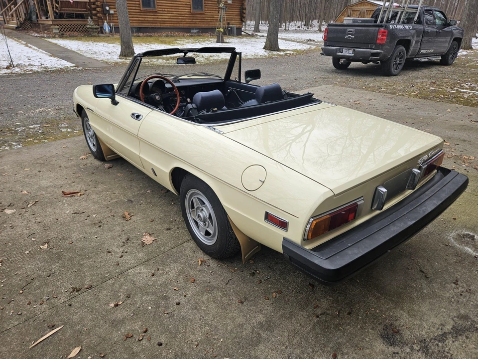 1982 Alfa Romeo Series 2 - Image 18 of 31