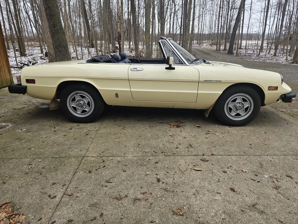 1982 Alfa Romeo Series 2 - Image 16 of 31