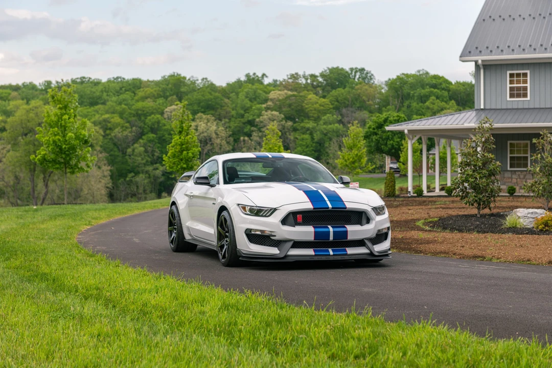 2017 Ford S550 Shelby Mustang GT350R - Image 19 of 31