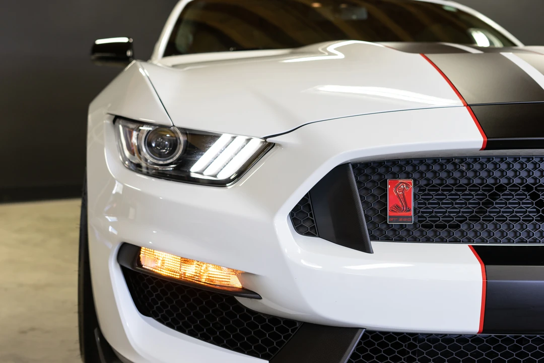 2019 Ford S550 Shelby Mustang GT350R - Image 14 of 31