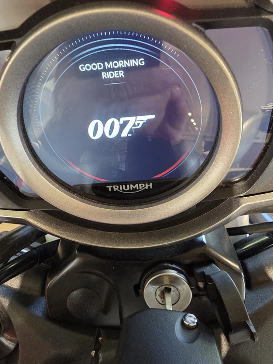 2021 Triumph Scrambler - Image 17 of 31