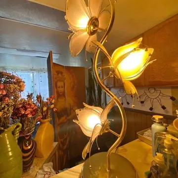 Lotus Lamps