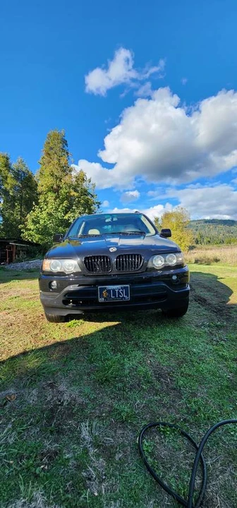 2001 BMW E53 X5 - Image 10 of 12