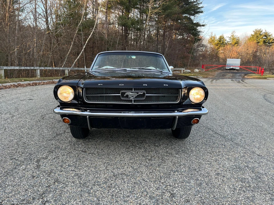1964 Ford Mustang 1st Gen (1964.5-1966) - Image 4 of 31