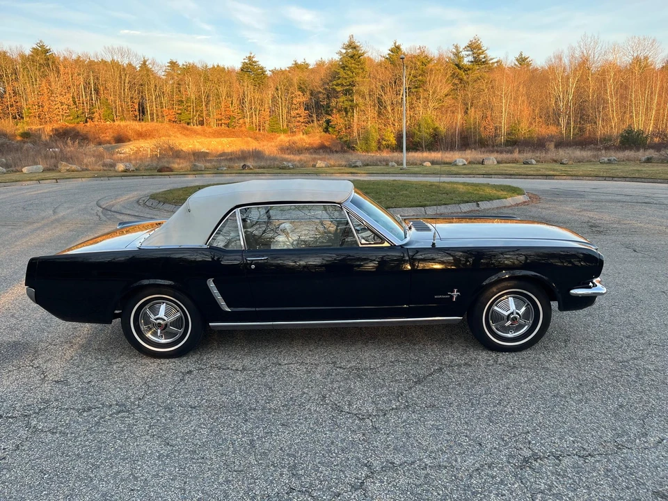 1964 Ford Mustang 1st Gen (1964.5-1966) - Image 19 of 31