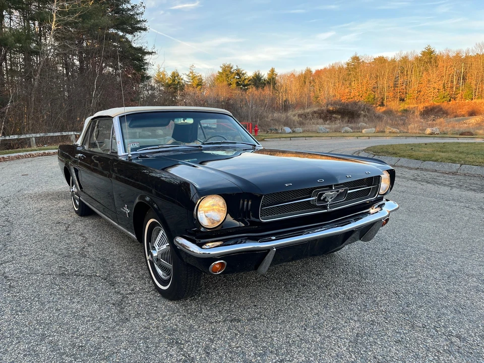 1964 Ford Mustang 1st Gen (1964.5-1966) - Image 13 of 31