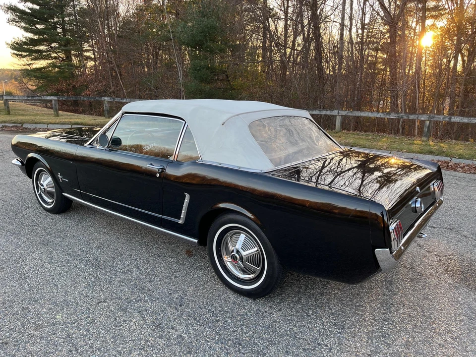 1964 Ford Mustang 1st Gen (1964.5-1966) - Image 16 of 31