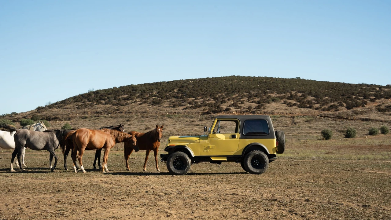 1984 Jeep CJ7 - Image 25 of 31