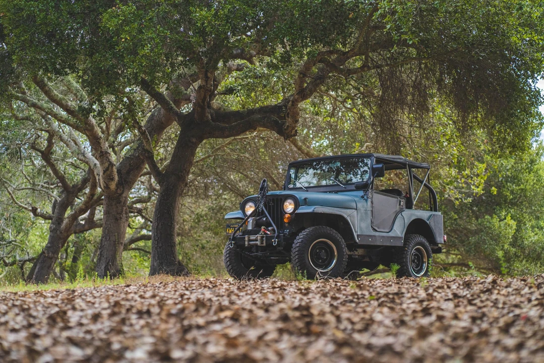 1952 Willys M38 & M38A1 - Image 20 of 31