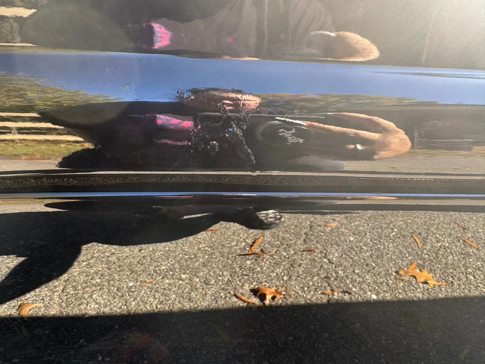 1955 Ford Fairlane 1st Gen - Image 19 of 31