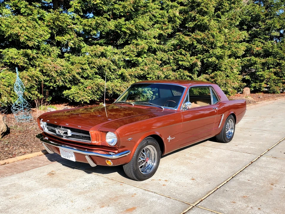 1964 Ford Mustang 1st Gen (1964.5-1966) - Image 3 of 31