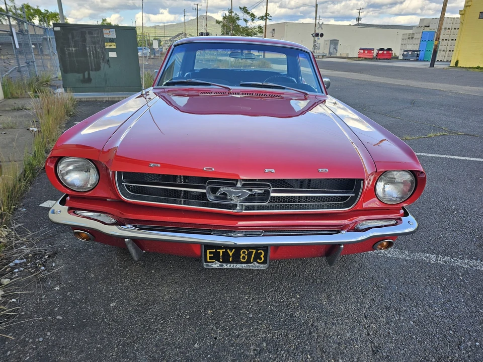1965 Ford Mustang 1st Gen (1964.5-1966) - Image 5 of 31