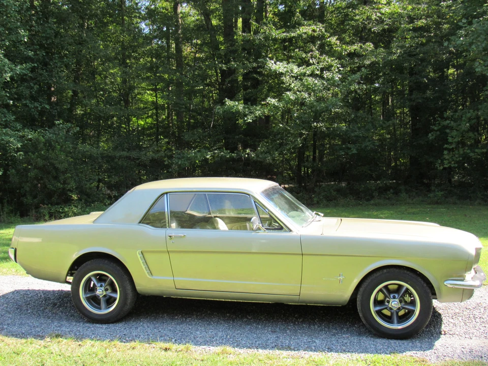 1965 Ford Mustang 1st Gen (1964.5-1966) - Image 3 of 31