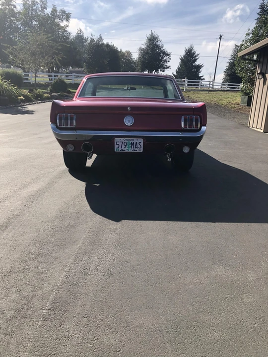 1966 Ford Mustang 1st Gen (1964.5-1966) - Image 14 of 31