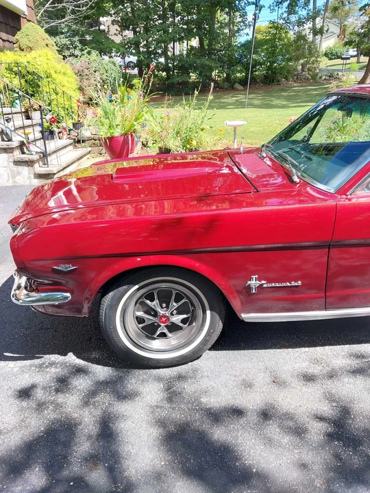 1966 Ford Mustang 1st Gen (1964.5-1966) - Image 31 of 31