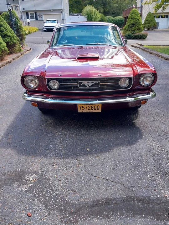 1966 Ford Mustang 1st Gen (1964.5-1966) - Image 13 of 31