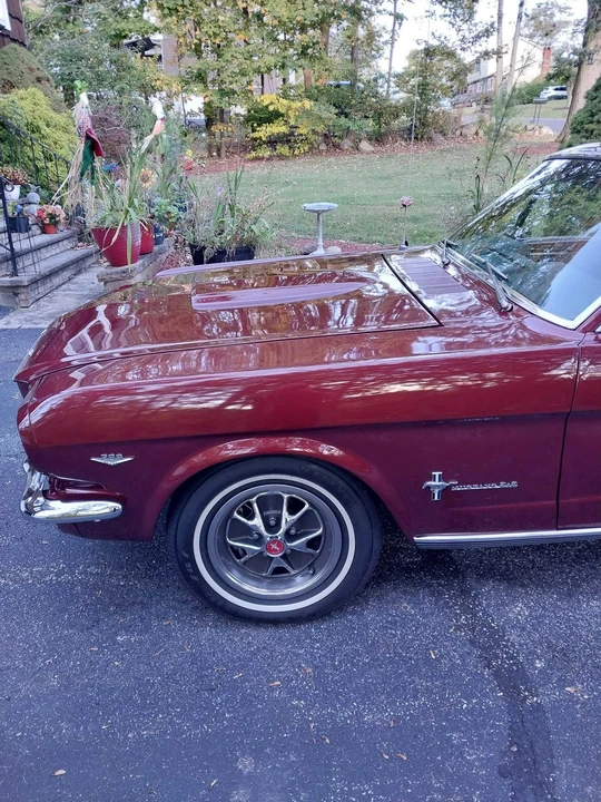 1966 Ford Mustang 1st Gen (1964.5-1966) - Image 17 of 31